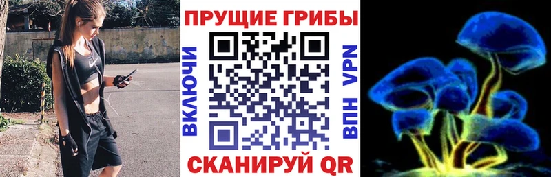 Псилоцибиновые грибы GOLDEN TEACHER Кашира